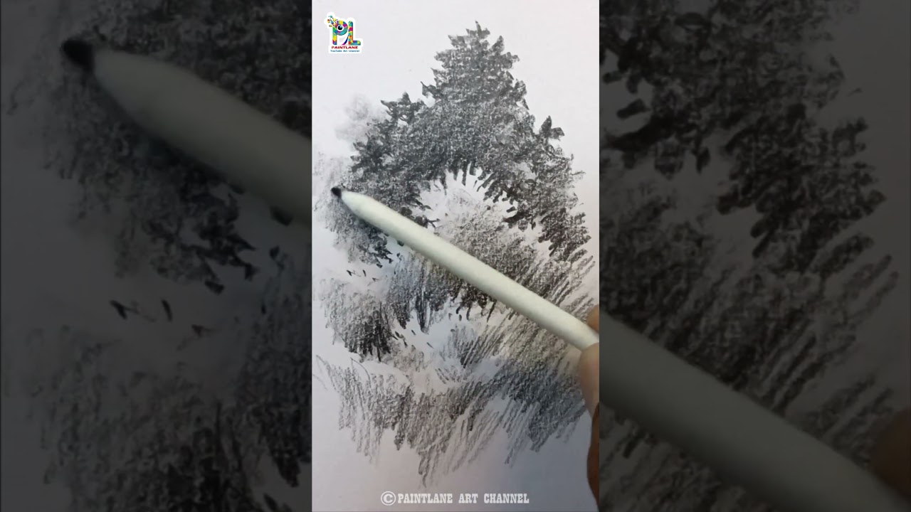 How to draw bushes #shorts #drawingpencil #artpencil