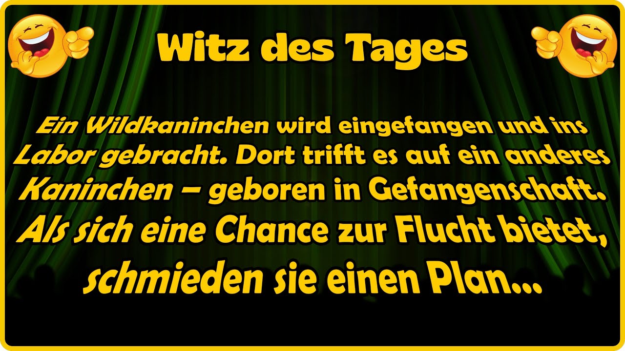 Labor trifft Natur! Zwei Kaninchen auf Abenteuerkurs 🥬🥕🐰 - Witz des Tages
