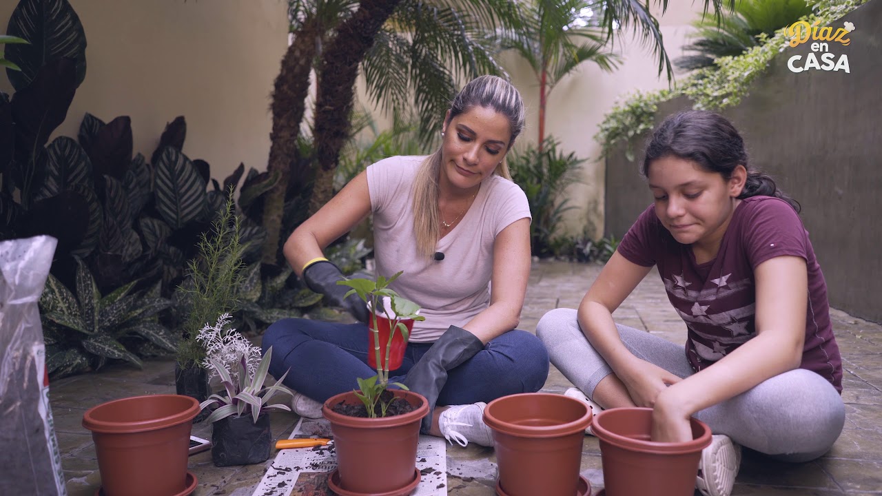 Díaz en Casa: Huerto en Casa