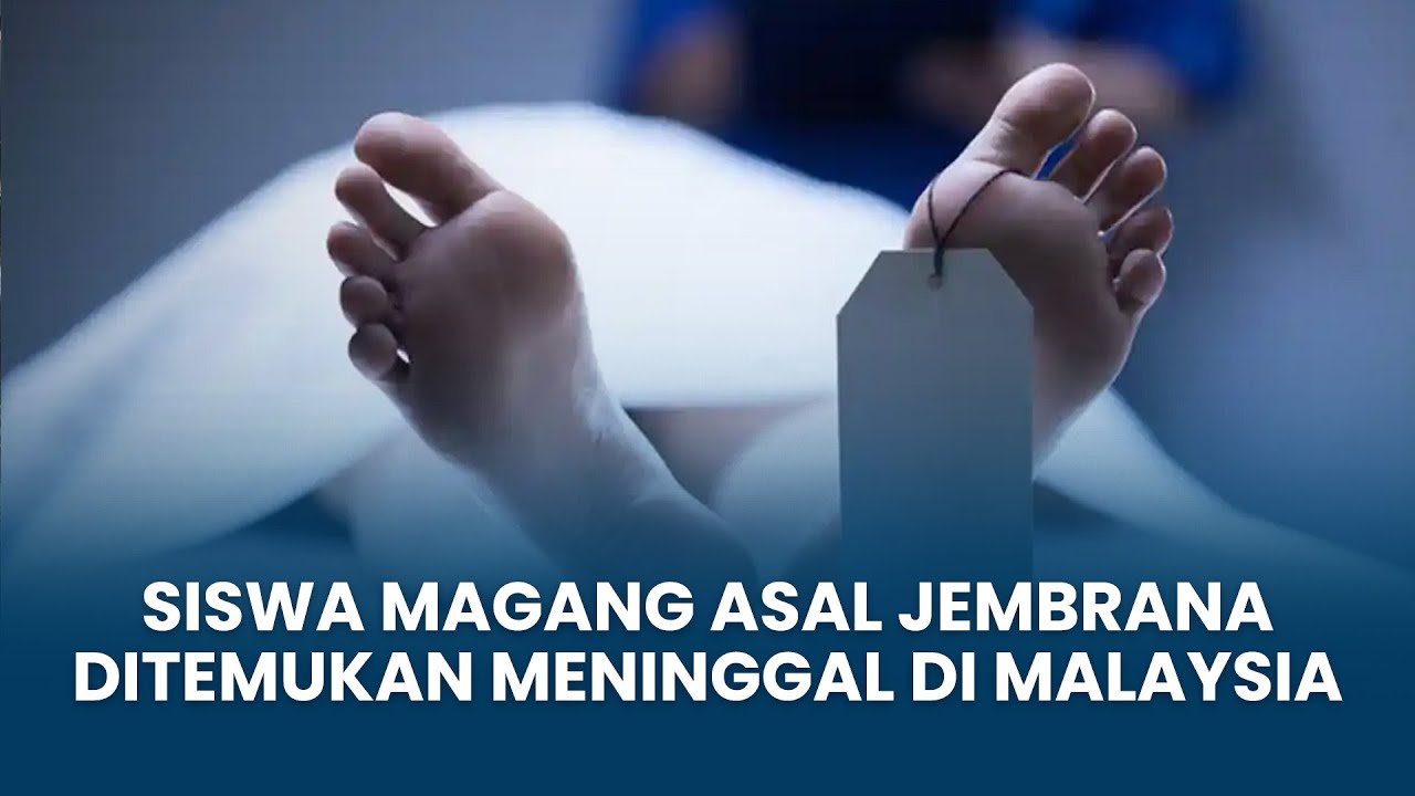 Kronologi Penemuan Jasad Siswa Magang Asal Jembrana di Malaysia, Made Ditemukan Sudah Kaku