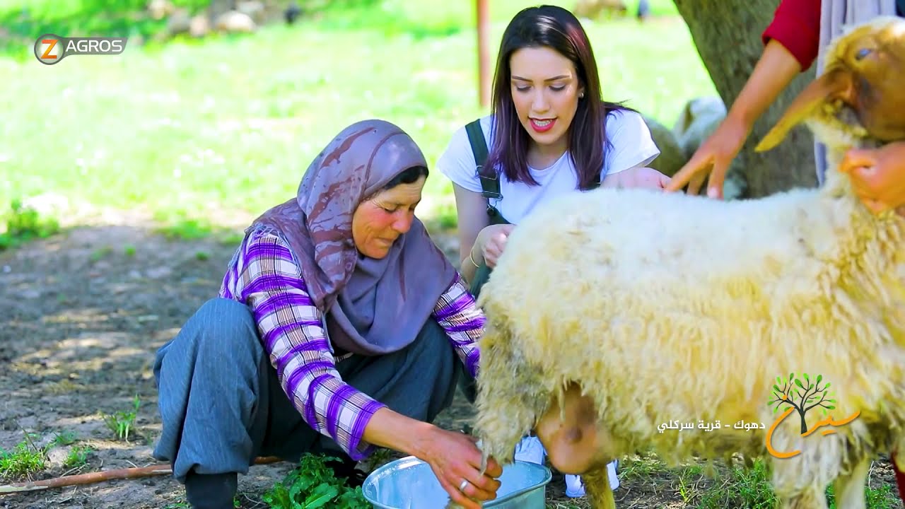 فيآخر #سيران في شهر رمضان مع #بنار_هشيار