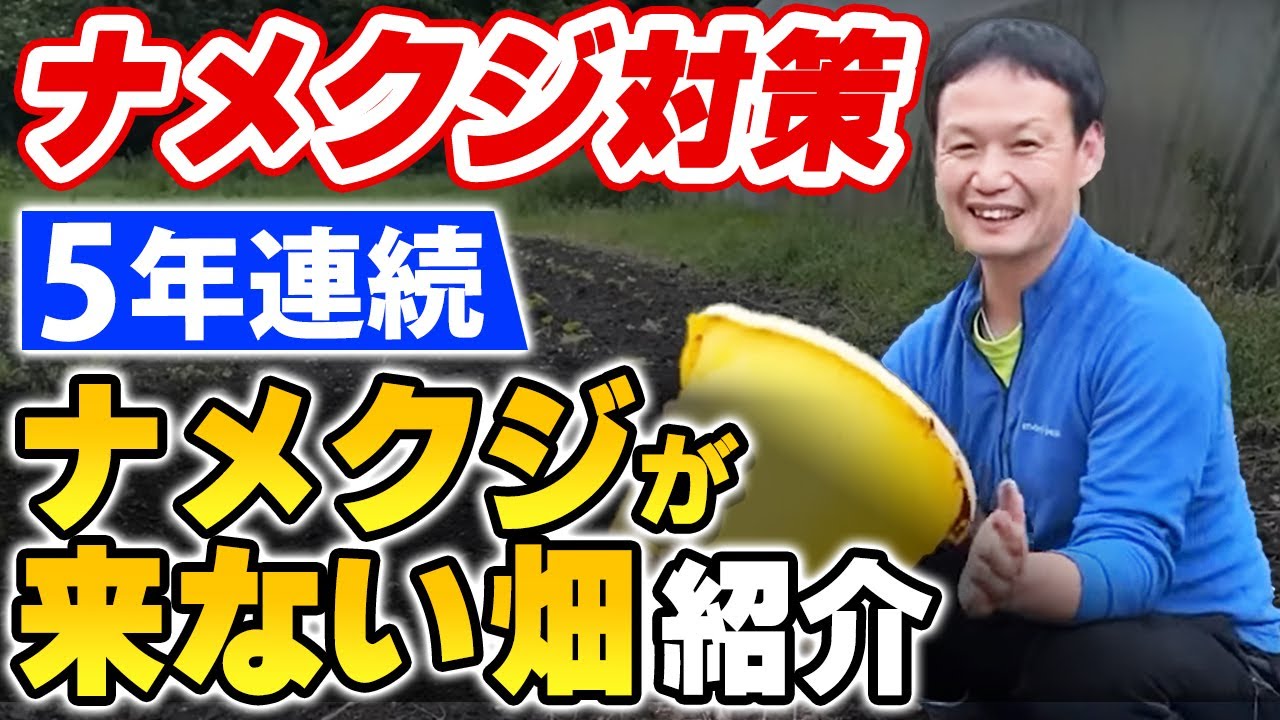 【自然栽培153】ナメクジ対策と、5年間、あれだけいたナメクジが、自然に来なくなった畑！紹介します。