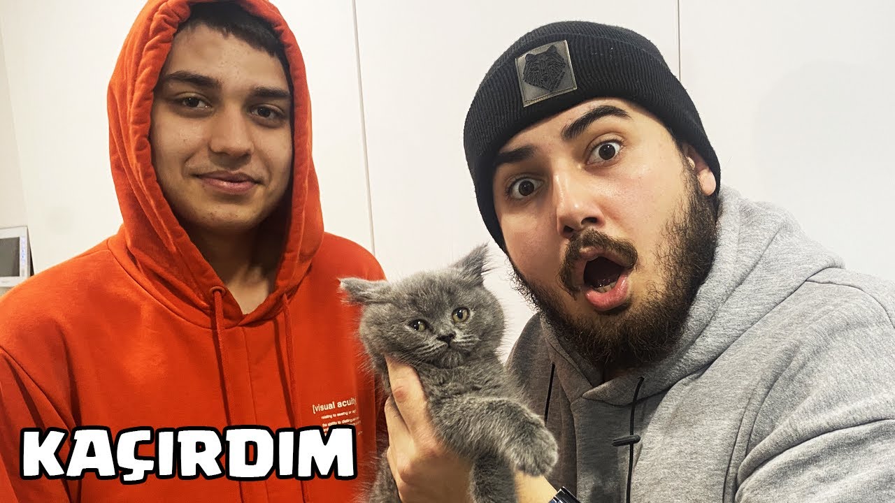 YBJ'nin KEDİSİ NURİ 'yi KAÇIRDIK! @BeratAliYilmaz
