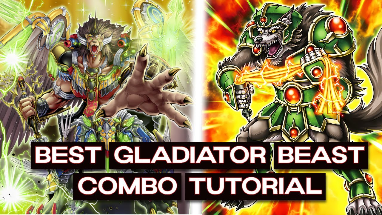 Best Gladiator Beast Combo Tutorial January 2025 (SUDA)