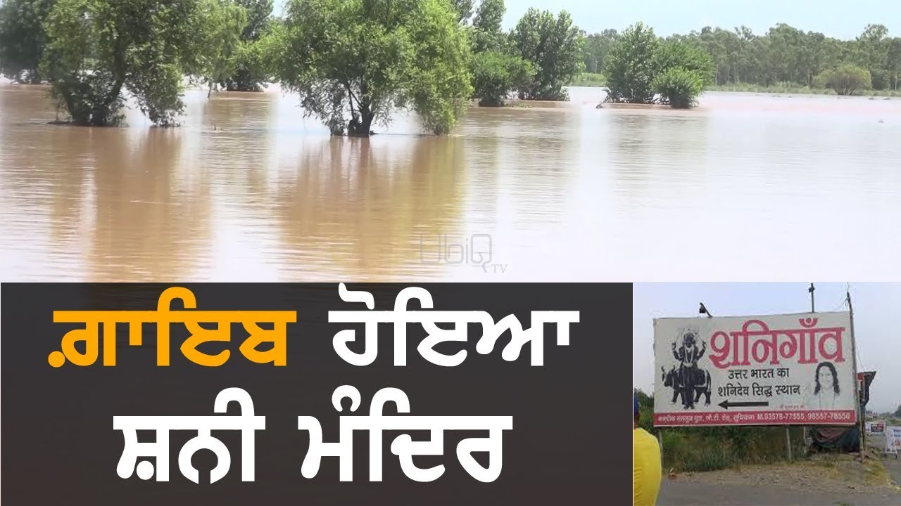 Punjab Floods | ਪਾਣੀ 'ਚ ਡੁੱਬਾ ਫਿਲੌਰ ਦਾ ਸ਼ਨੀਗਾਂਵ | TV Punjab