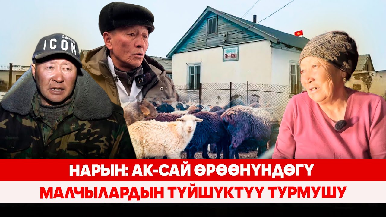Нарын: Ак-Сай өрөөнүндөгү малчылардын түйшүктүү турмушу