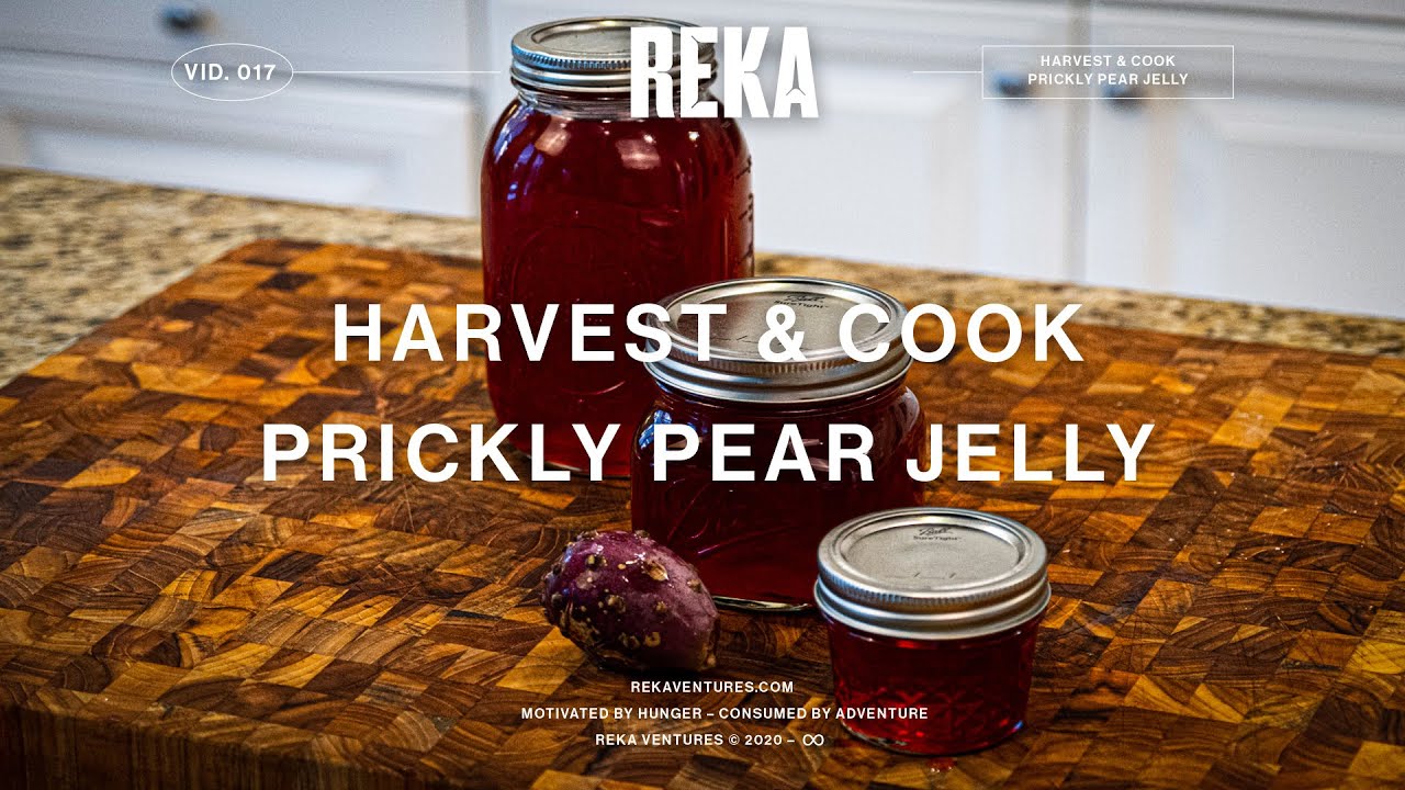 Prickly Pear Jelly | Harvest & Cook | EP 017