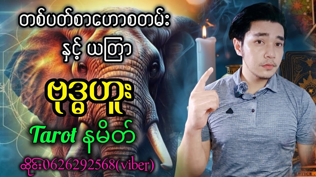 (3) ပိုင်းမှာ စန်းပွင့် ပြီး ထိပေါက်ကံရှိနေသော(