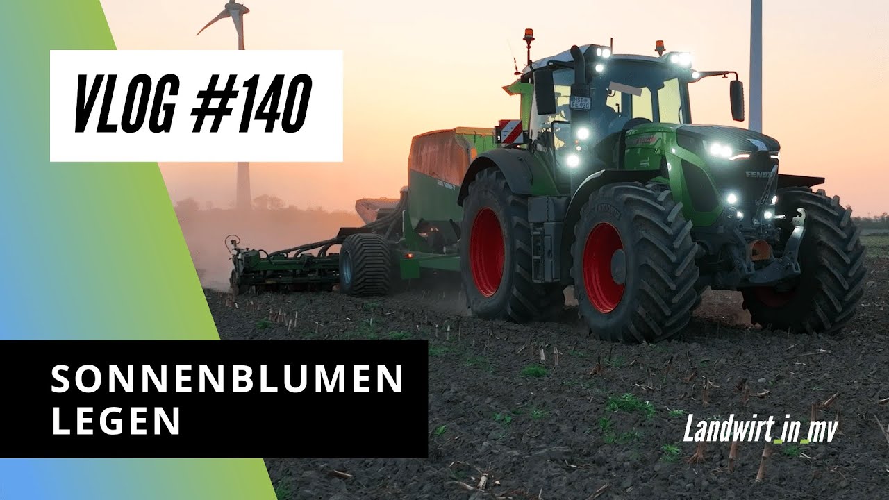 Vlog #140 Sonnenblumen legen