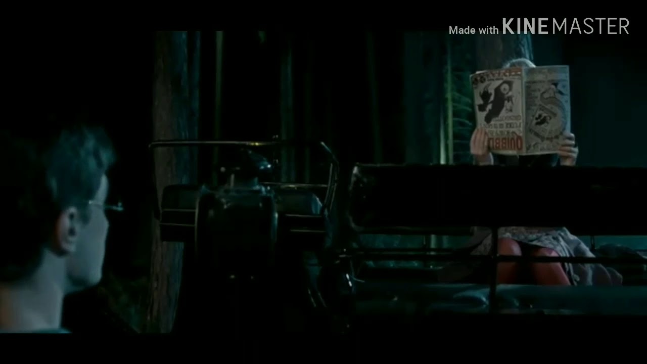 Luna Lovegood - Reasons to Stay (Harry Potter)