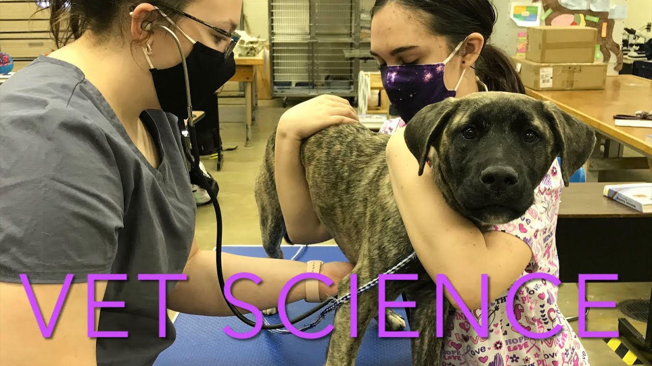 VCTC Veterinary Science Tour