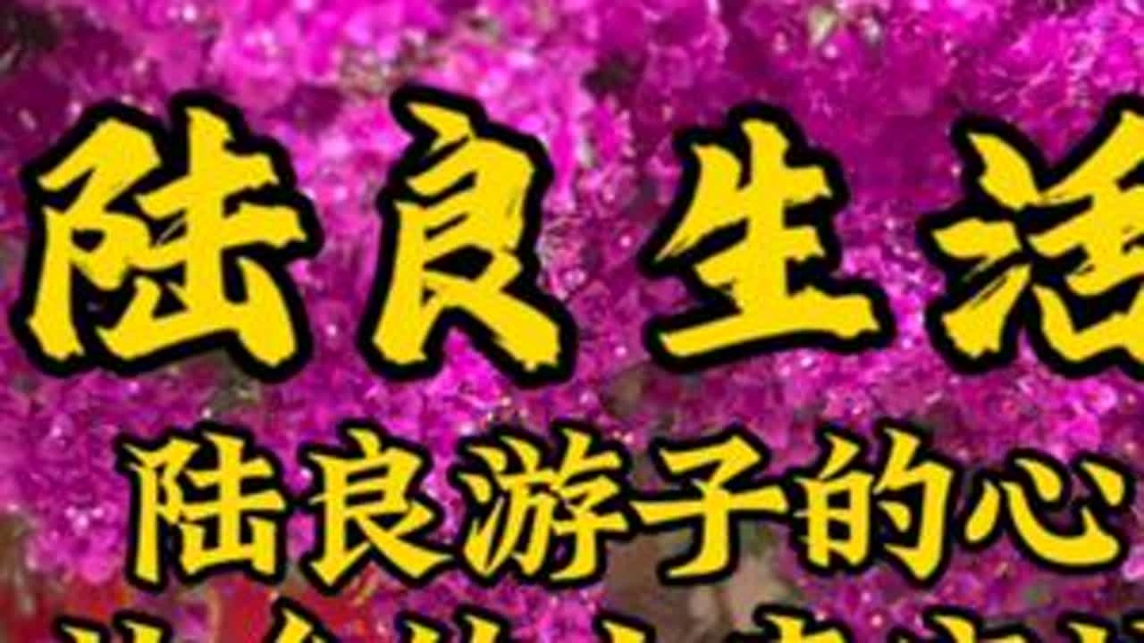 这条视频，献给出门在外的陆良游子。#有一种叫云南的生活 #陆良 #故乡容不下肉身他乡容不下灵魂 #陆良方言