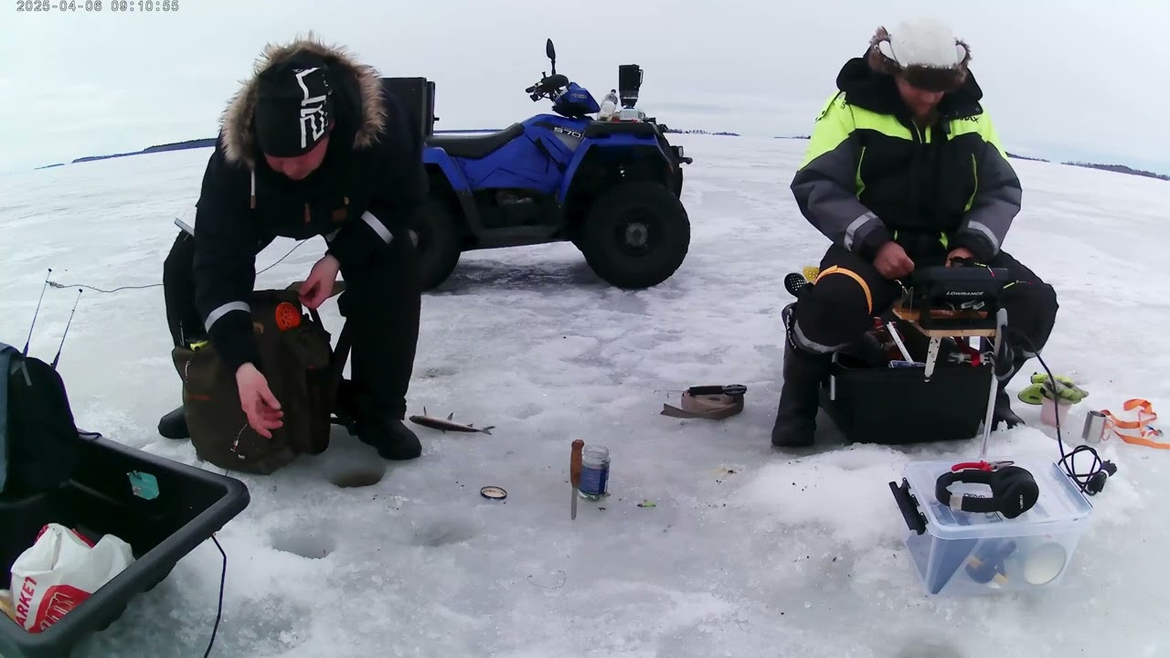 Siika Pilkki Vol.1 Testi