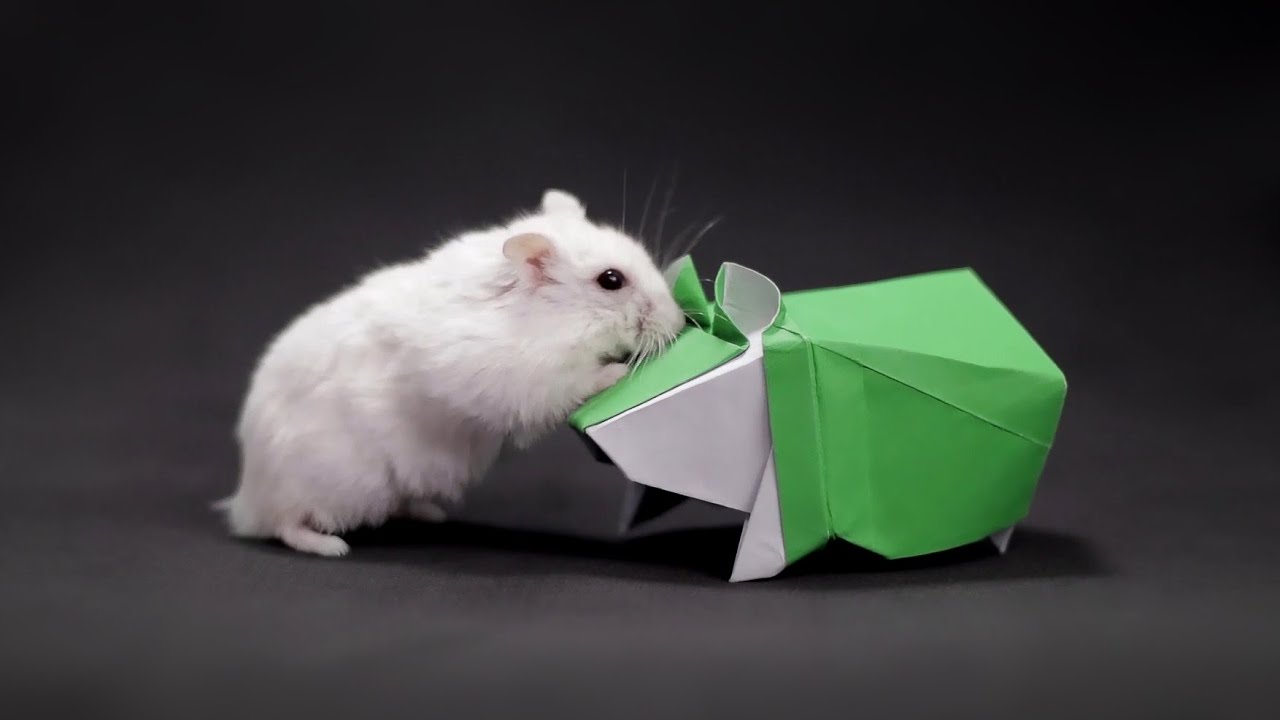 Origami Hamster - How to Fold