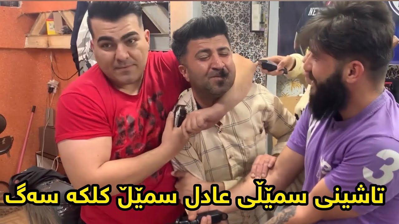 تاشینی هینی عادلە سمێڵ کلکە سەگ