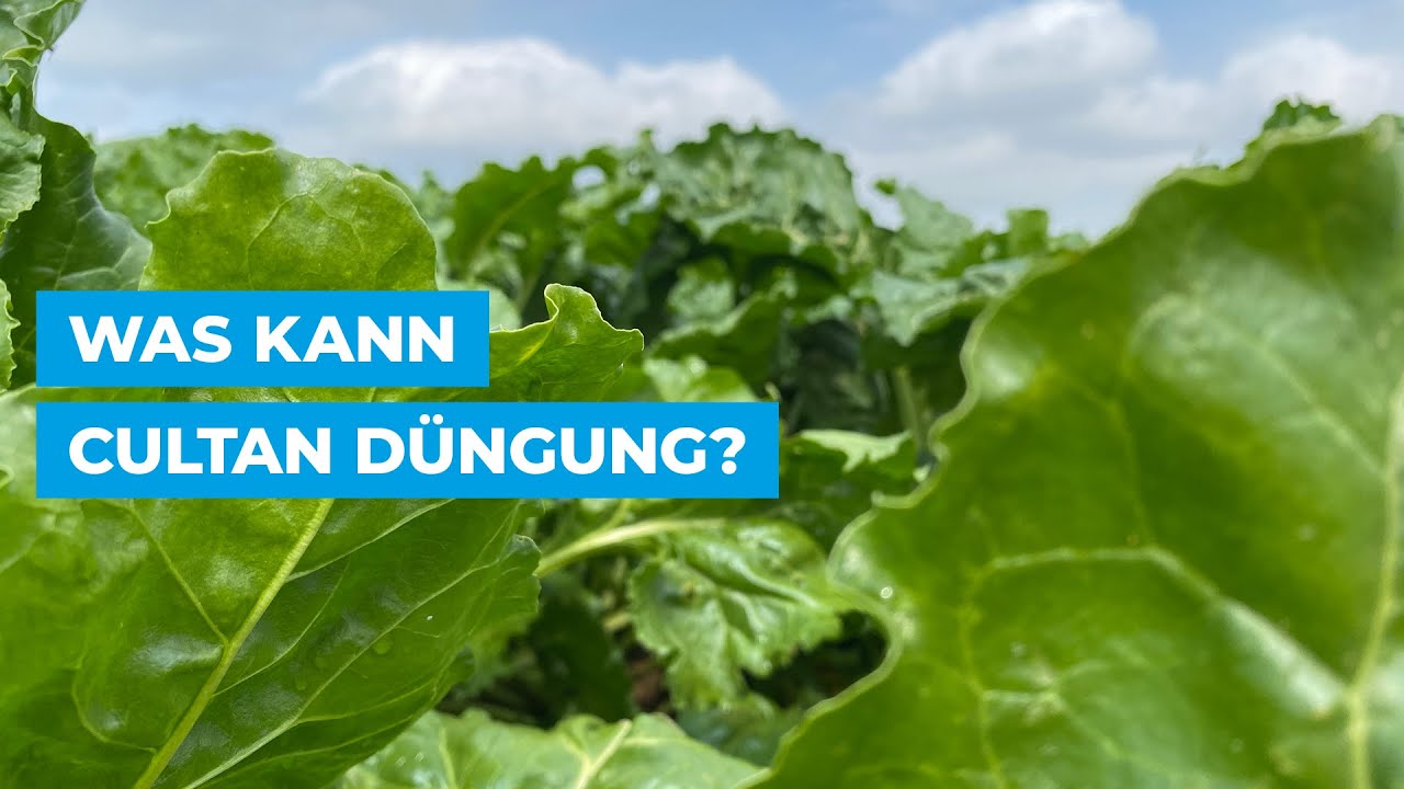 Was kann Cultan Düngung?
