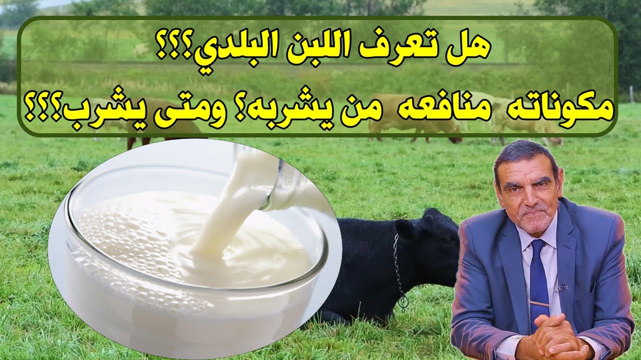 اللبن البلدي لو عرفت حقيقته لن تتخلى عنه بعد اليوم مع الدكتور محمد الفايد //Dr mohamed faid