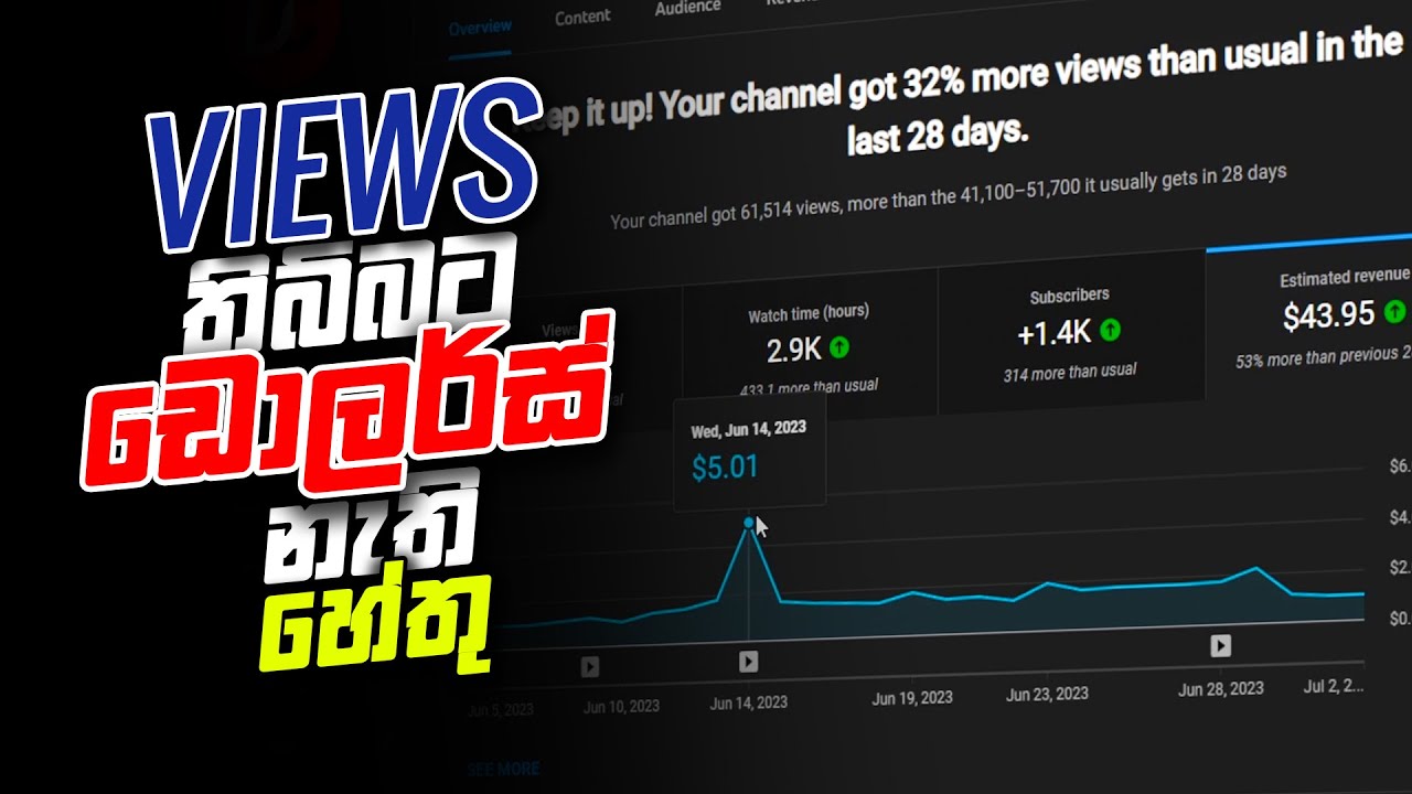 Views තිබුණට ($)ඩොලර්ස් නැති හේතු? 🤔 | Your YouTube Income Sinhala