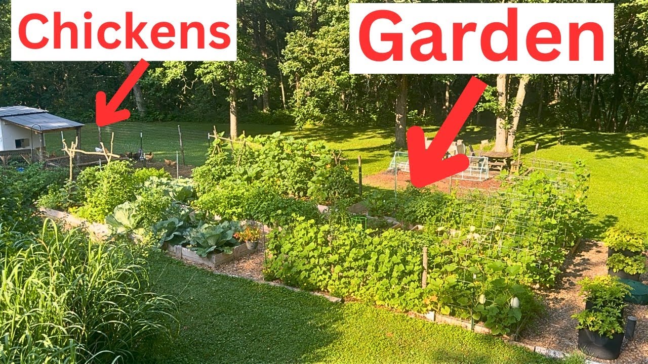 One Acre Homesteading: How to Grow Food & Live Sustainably
