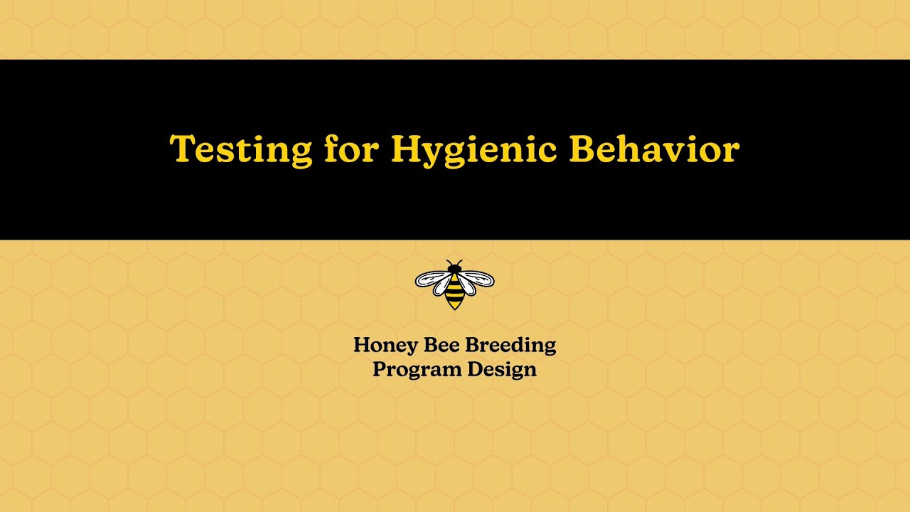 Honey Bee Breeding: Testing for Hygienic Behavior