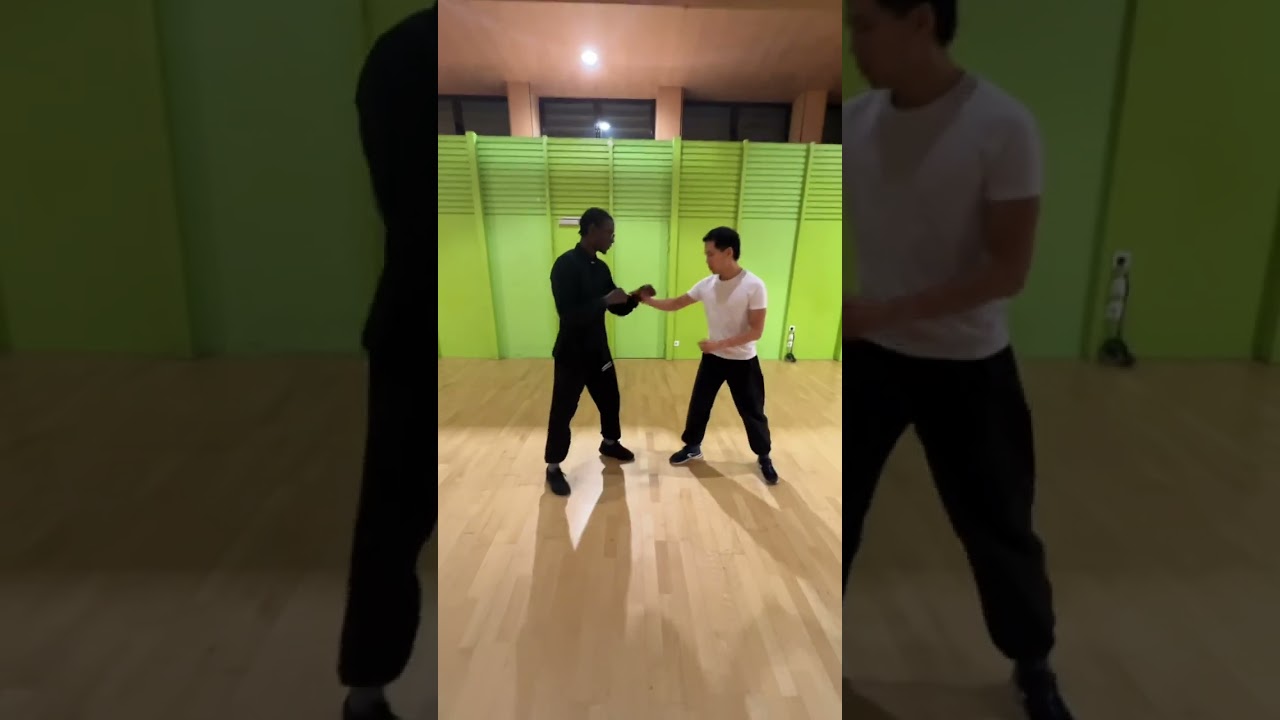 Avci wingtsun la sacamp paris 19