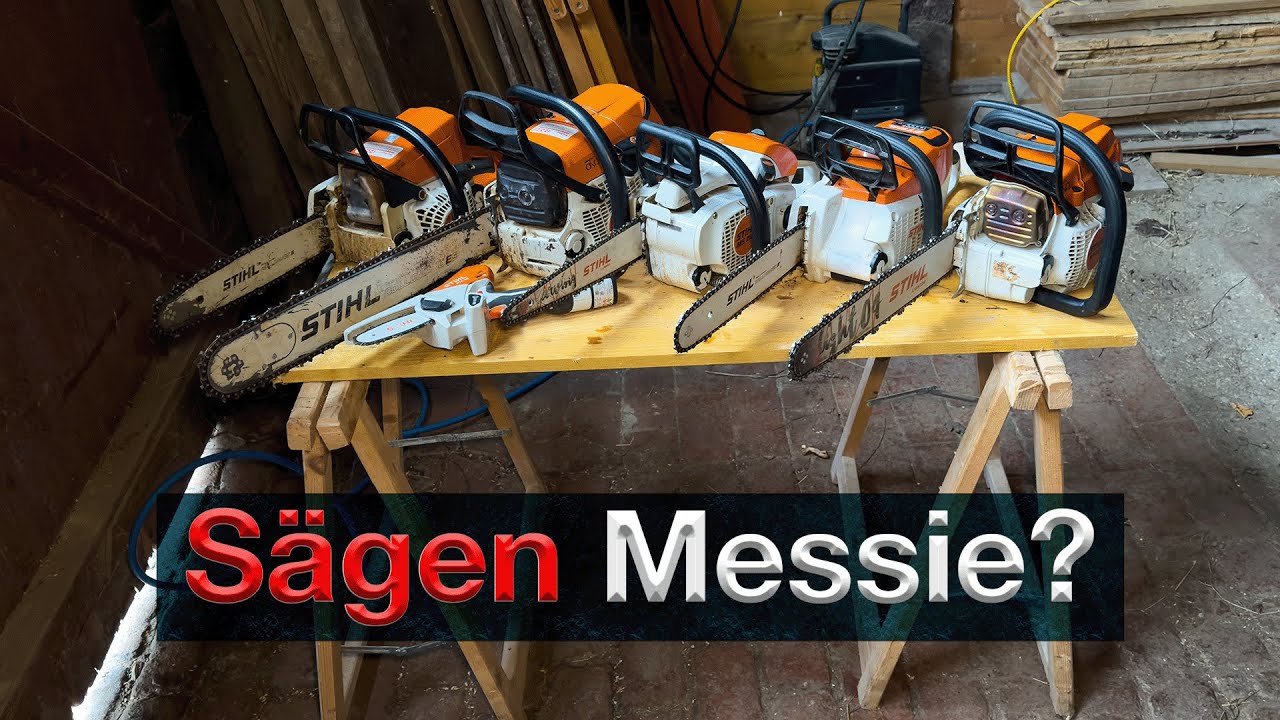 Welche Kettens&auml;ge ist die Beste, wof&uuml;r welche? STIHL MS201 MS250 MS441 MSA230 MS261 f&uuml;r Brennholz