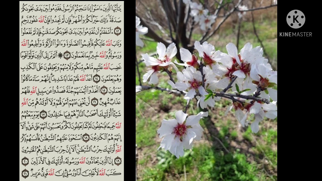 فالحزن يرحل تلاوة جديدة رائعة وهادئة جداً بصوت (آرام عبدالله) لاتنسوا بالايك