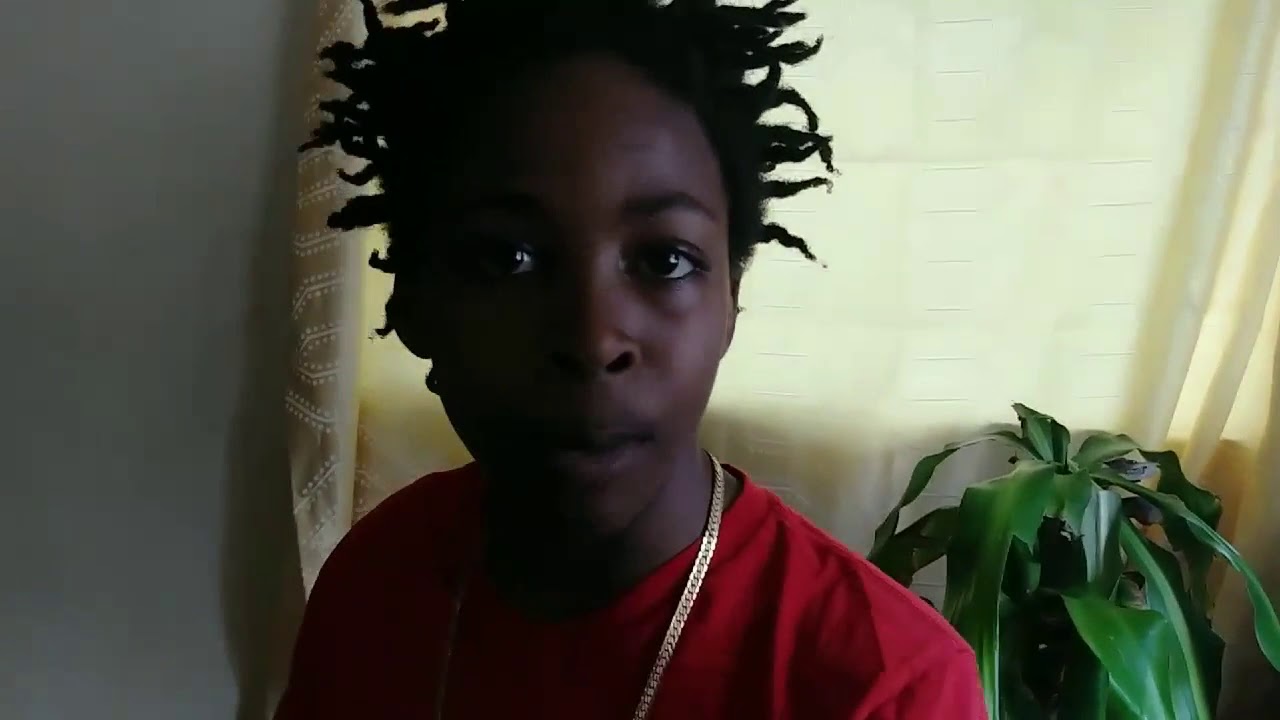 SCAMBOY DB x 