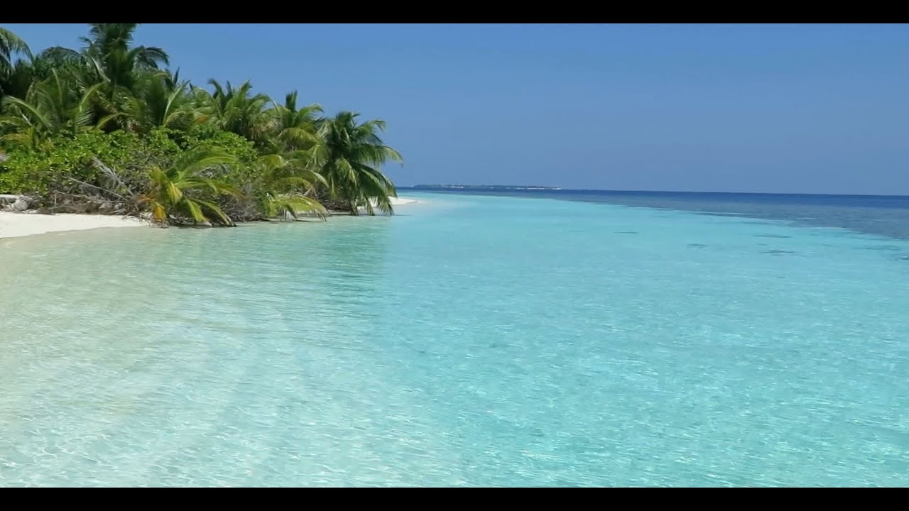 VELIDHU  MALDIVES  AVRIL 2019
