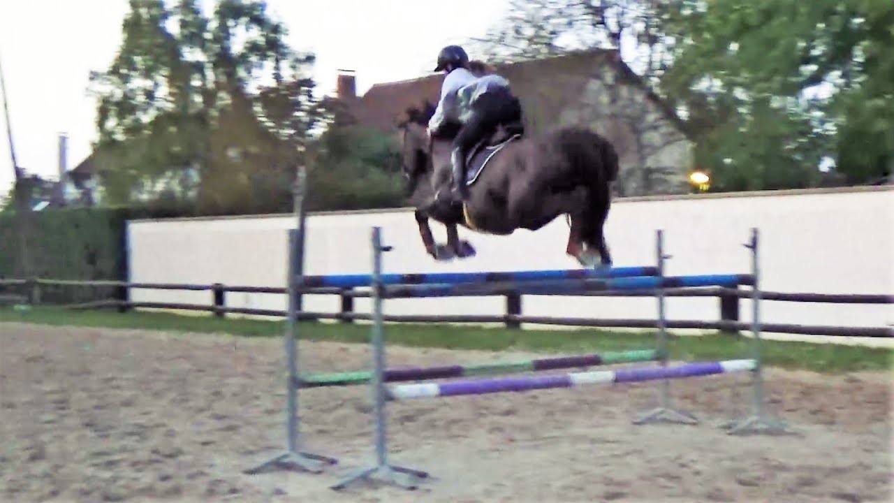 ■ 07/10/2023 - Entraînement aux écuries CBM - Fraqk du Pré du Jart - CSO - Clara Maitre