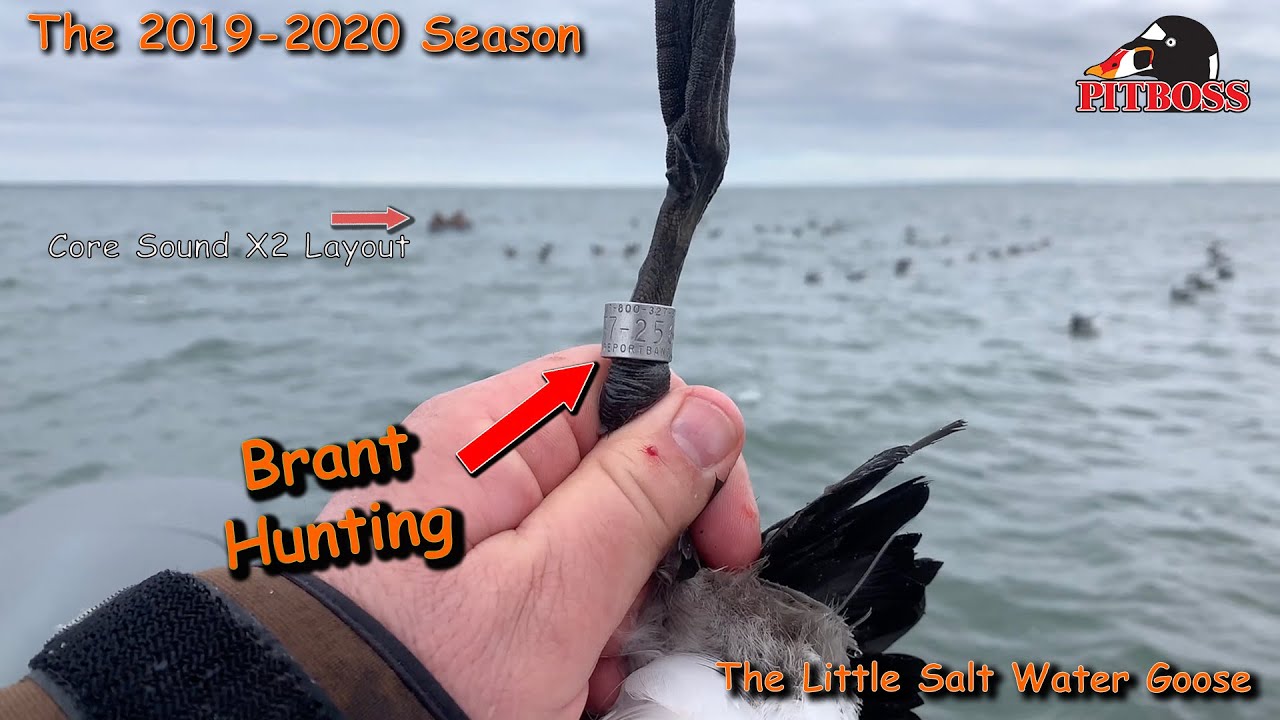 Brant Hunting - Bands - Core Sound Layouts - The Worlds Largest Brant Boat - January 2020