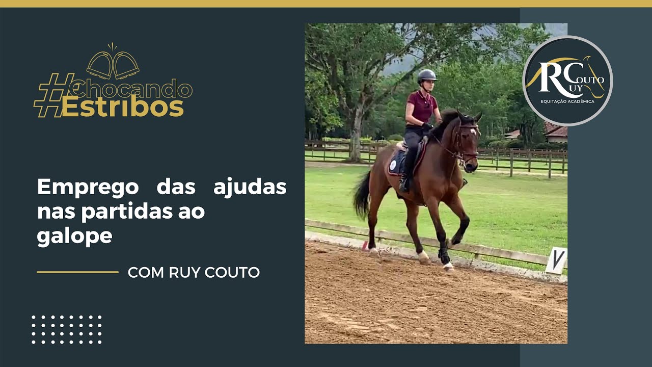 Chocando Estribos - Emprego das ajudas nas partidas ao galope
