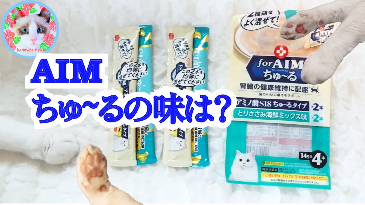 猫にAIMちゅーるっていいんですか? 猫腎臓病 Treats to prevent kidney disease in cats