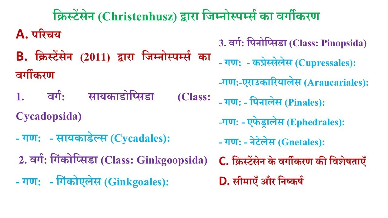 Classification of Gymnosperms by Christenhusz | Modern Systematic Approach |क्रिस्टेंसेन का वर्गीकरण