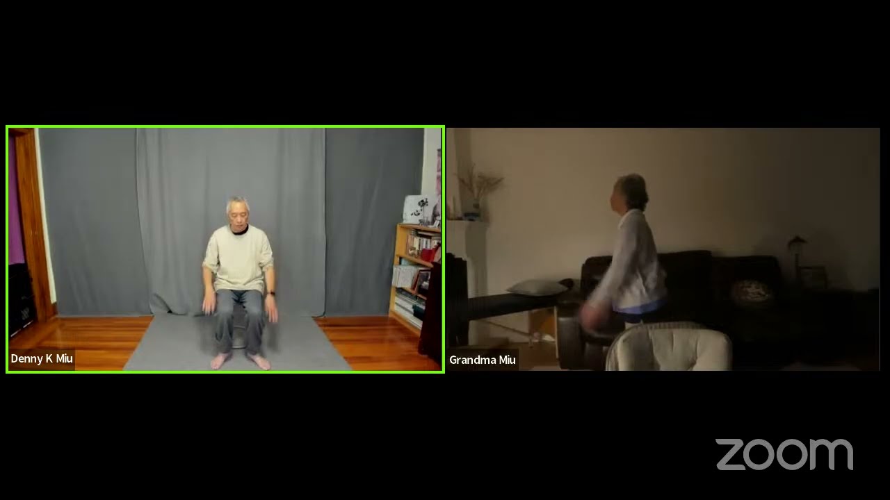 天天平甩功 &bull; Daily Pingshuai Gong Practice (Denny K Miu)