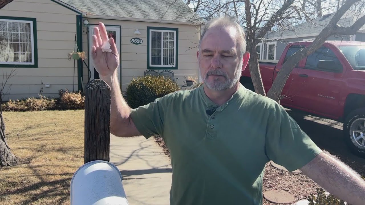 Alleged victim of tree-trimming scam: 