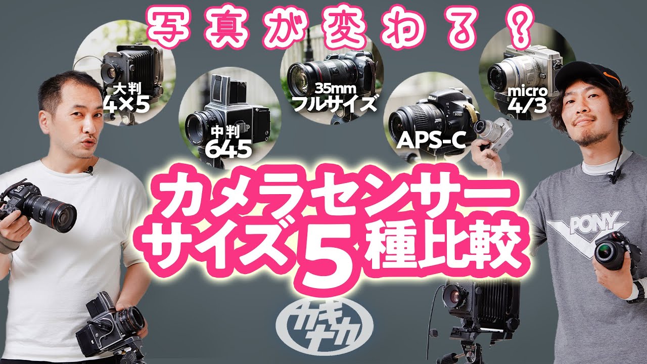 【センサーサイズ】フルサイズ？APS？カメラ5種で写真はどう変わるのか