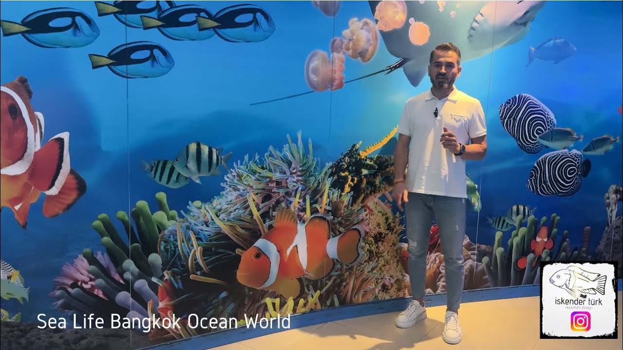 Güneydoğu Asya’nın en büyük ve büyüleyici akvaryumu olan Sea Life Bangkok Ocean World
