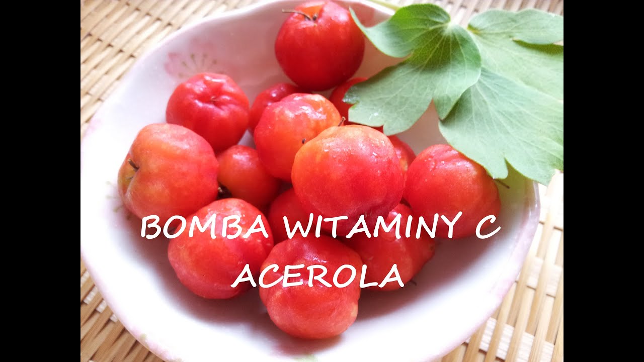 ACEROLA BOMBA WITAMINY C WŁAŚCIWOŚCI DLACZEGO JEŚĆ? dieta długowieczności