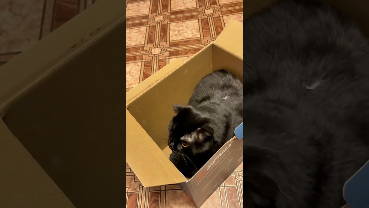 Чайник и кофеварка Senix