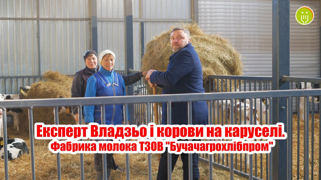 Експерт Владзьо і корови на каруселі. Їжа Файного міста на Фабриці молока ТзОВ 