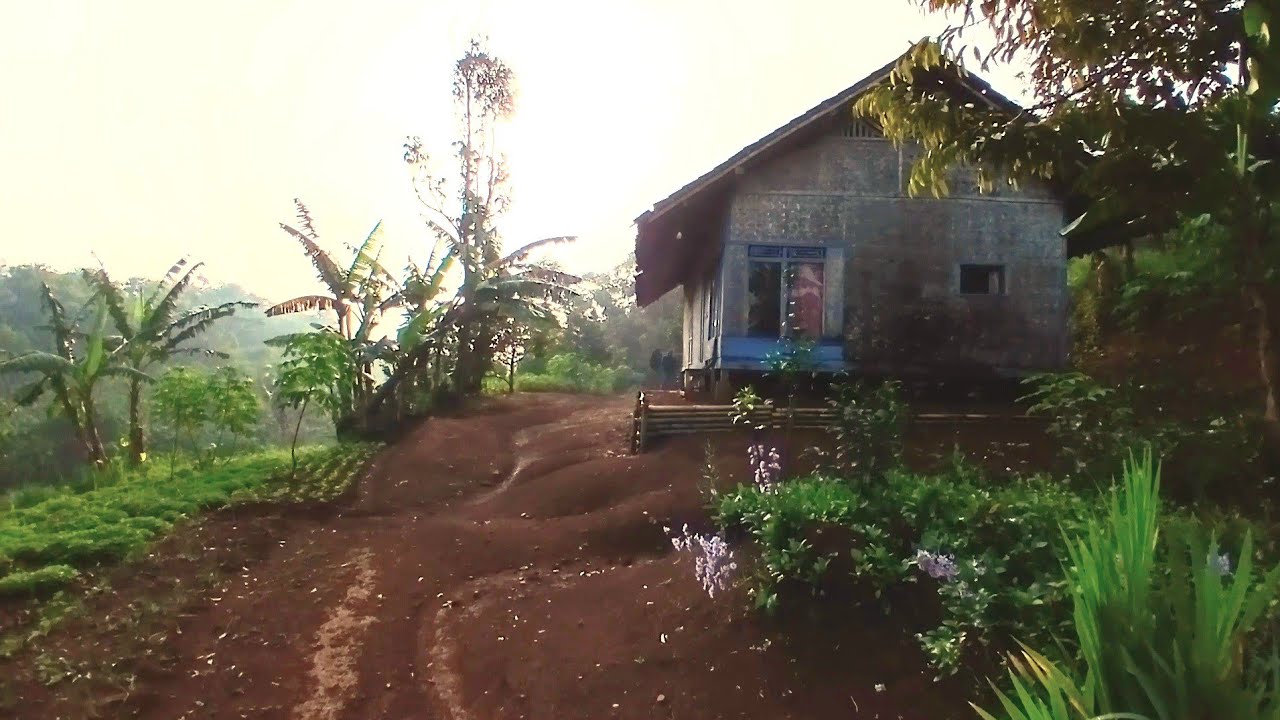 Menikmati kabut pagi yang sejuk di rumah klasik di atas bukit