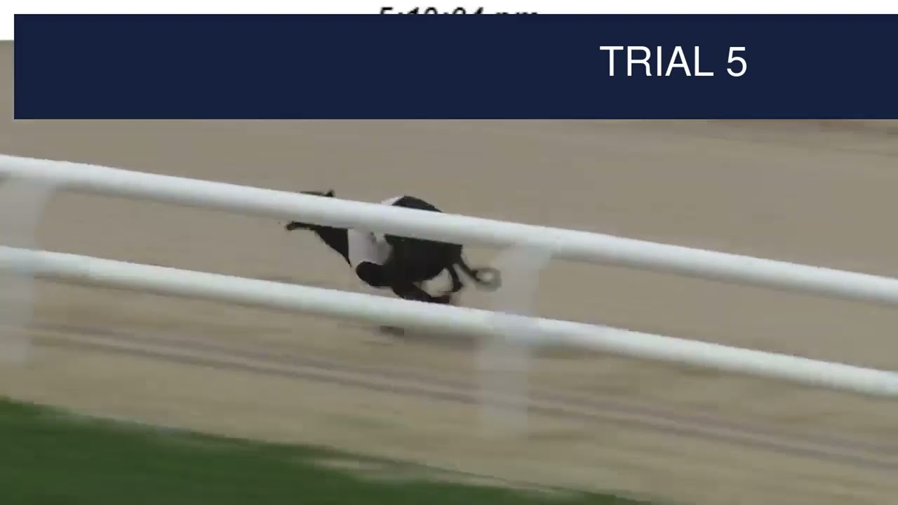 Dunstall Park Trials on 25th February 2026