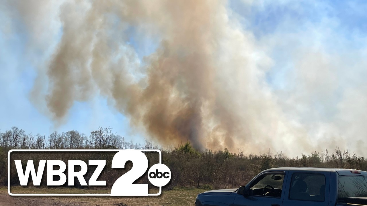 Livingston Parish woods fire burned over 200 acres