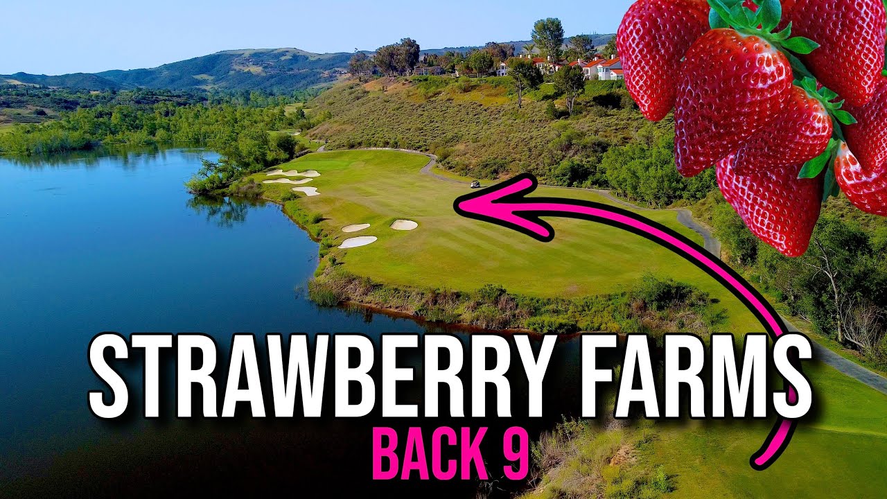 GORGEOUS GOLF by the LAKE @ Strawberry Farms BACK 9 Course Vlog with Drone Flyovers