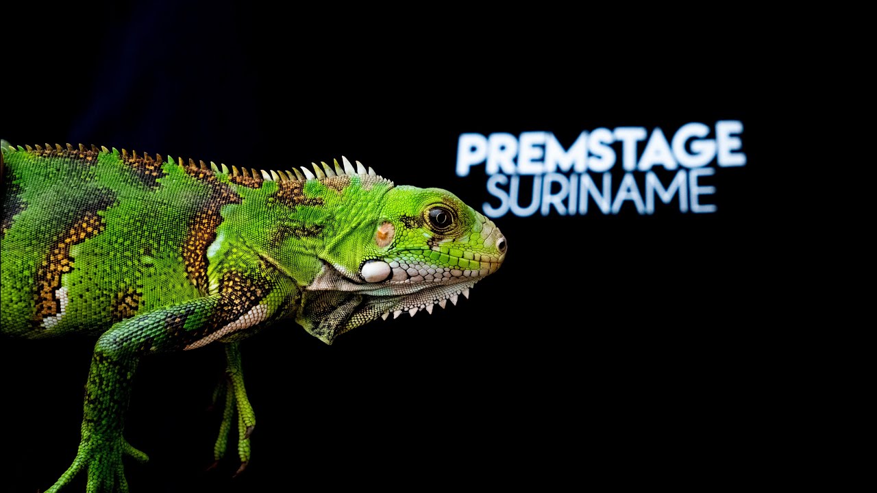 Raleighvallen & Voltzberg 2023 - Premstage Suriname