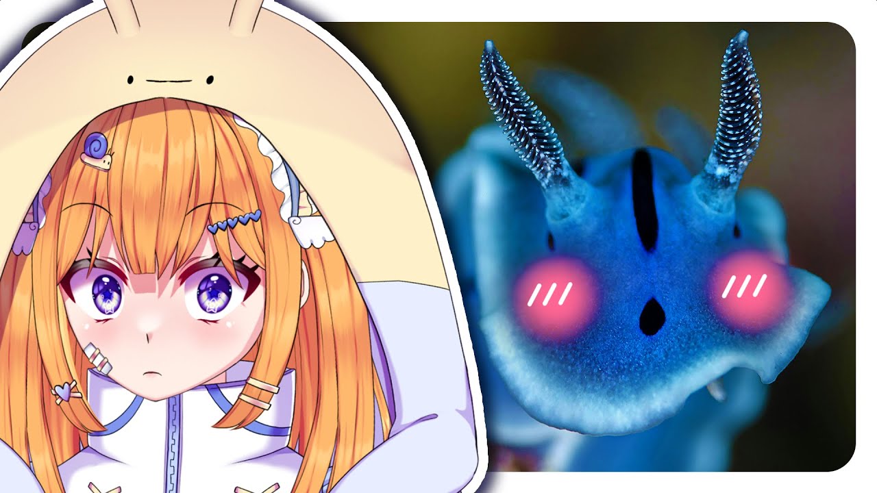 True Facts about NUDIBRACHES! My FREAKY Cousins | Snail Vtuber reacts to Ze Frank