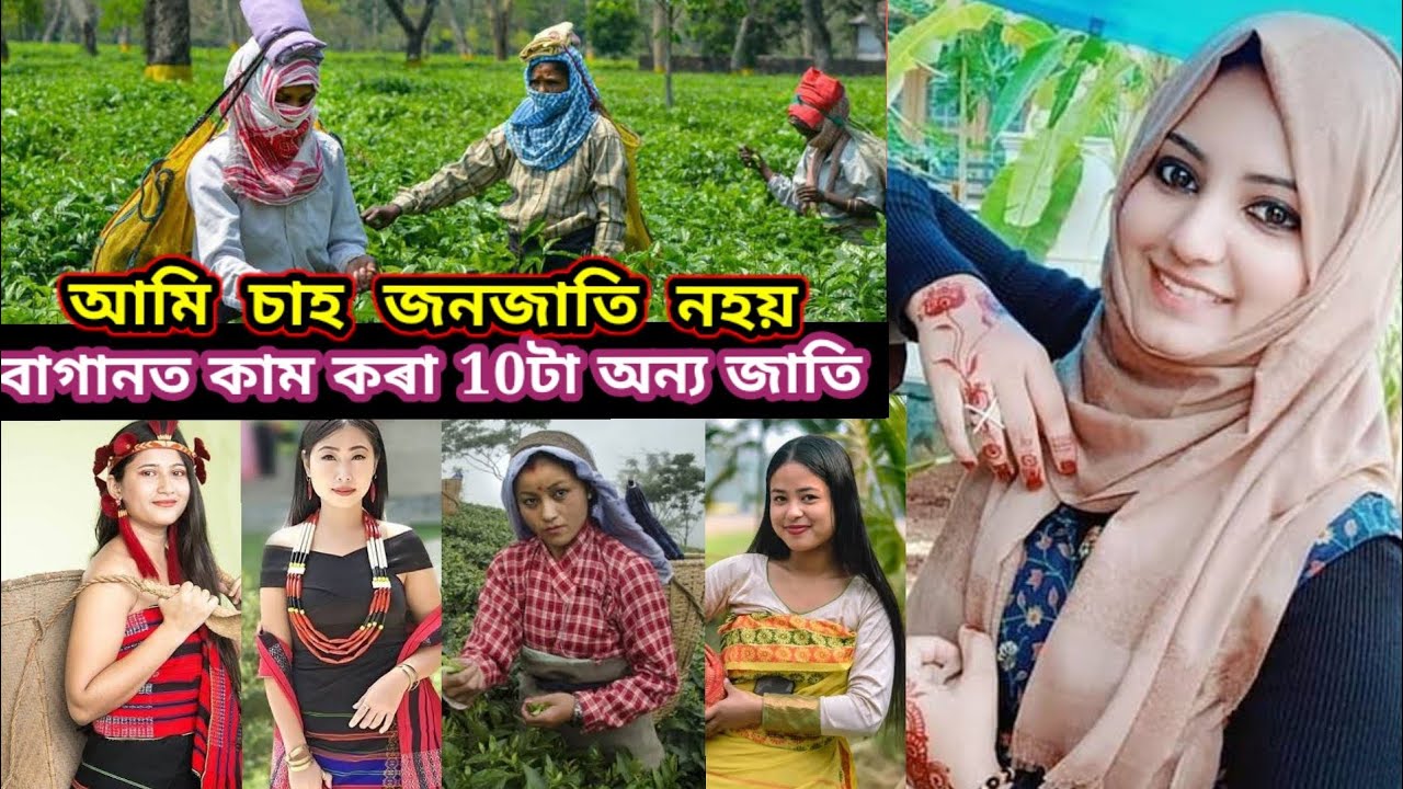 top 10 aadivasi tea garden labour Assam//aadivasi controversy video