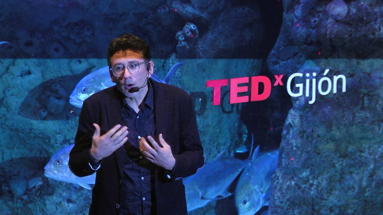 La comunidad: nuestro tercer cinturón de protección | Héctor Colunga | TEDxGijon