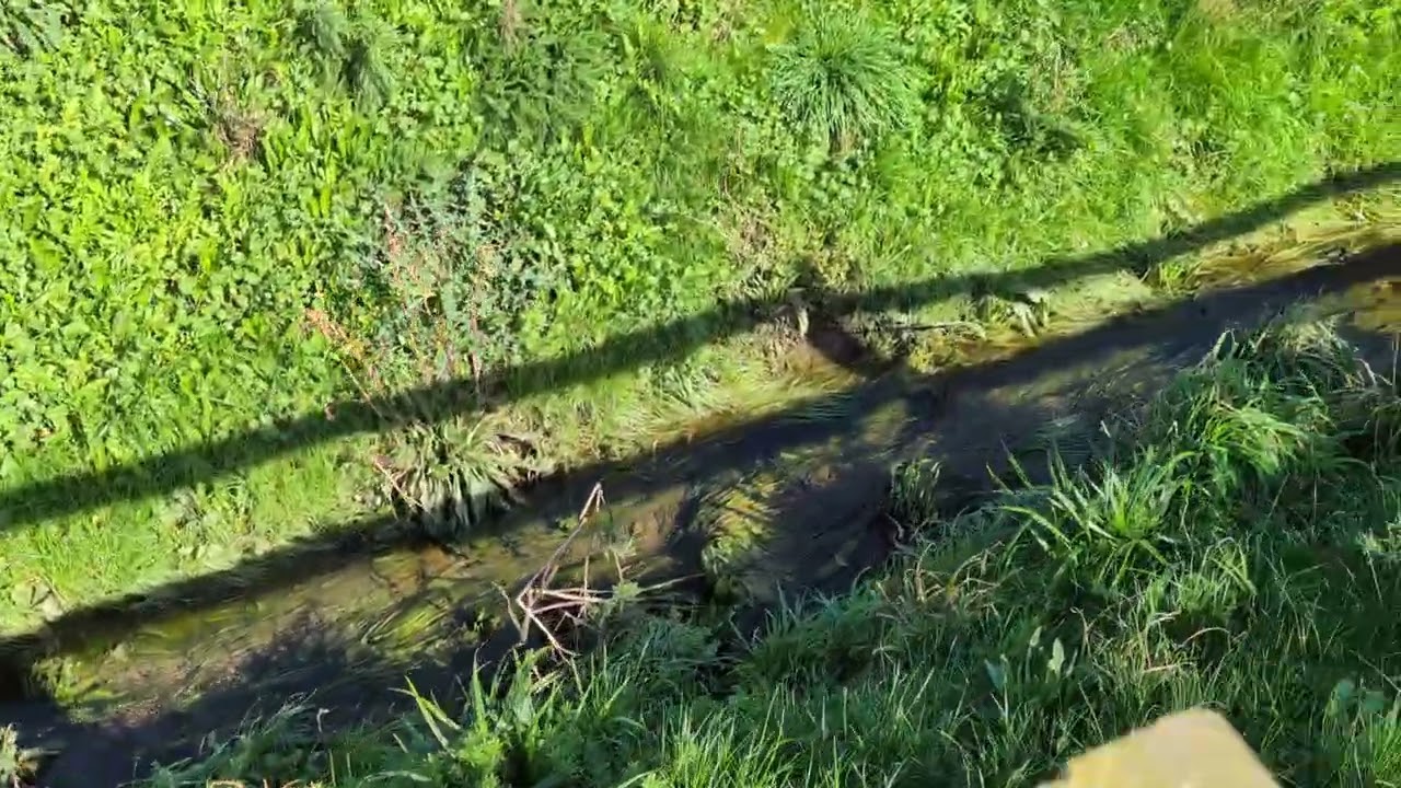 Leaks into the swale system